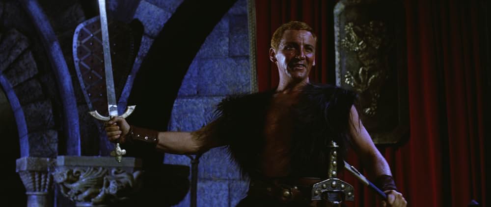 バイキングの復讐の画像