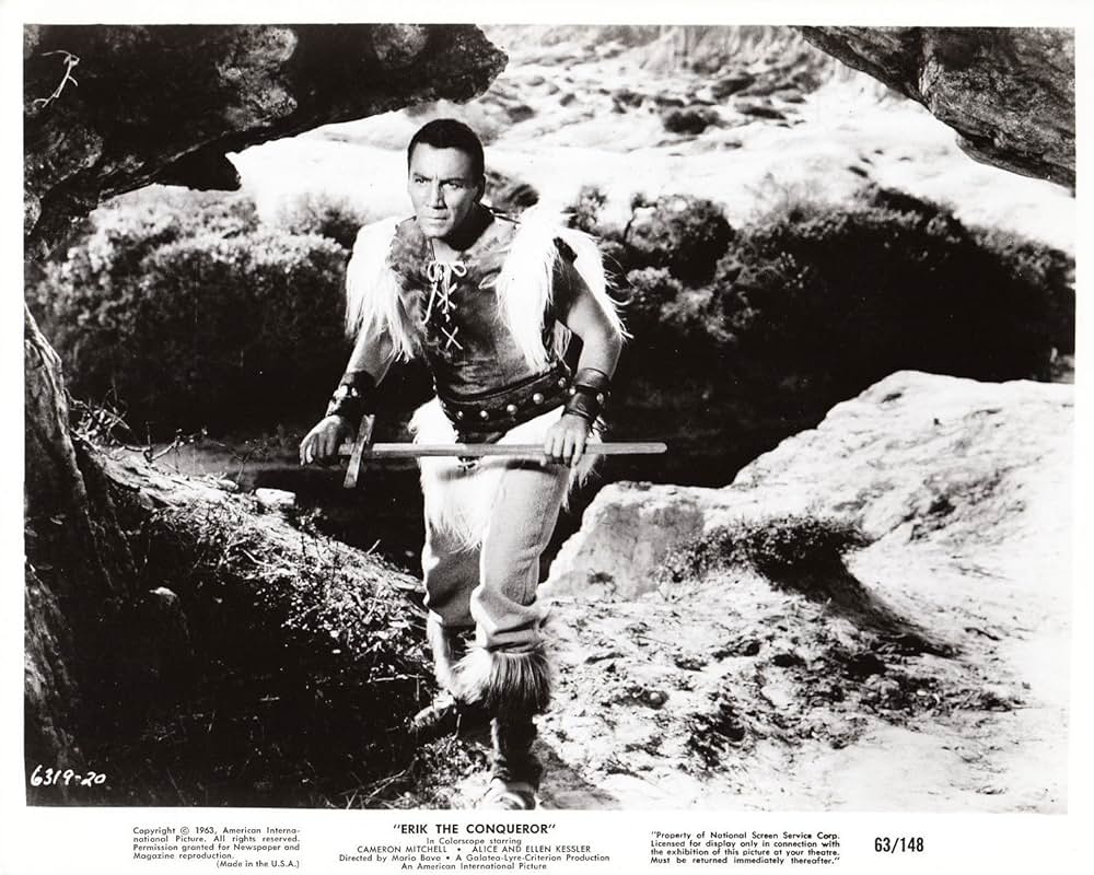 バイキングの復讐の画像