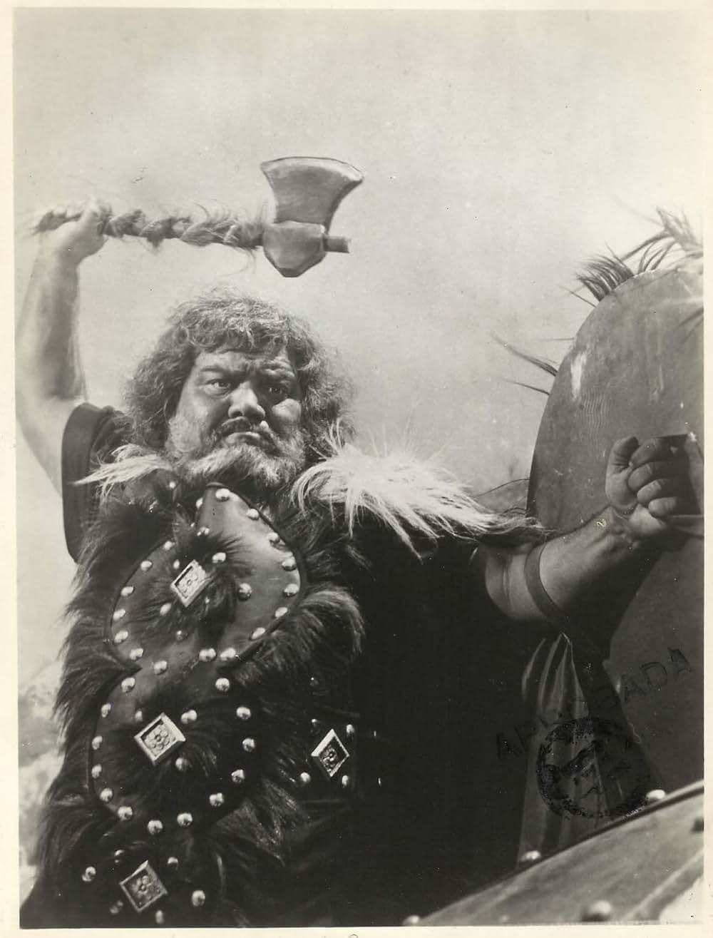 バイキングの復讐の画像