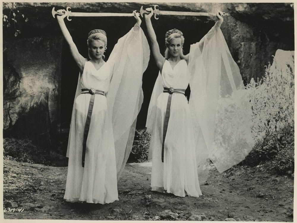 バイキングの復讐の画像