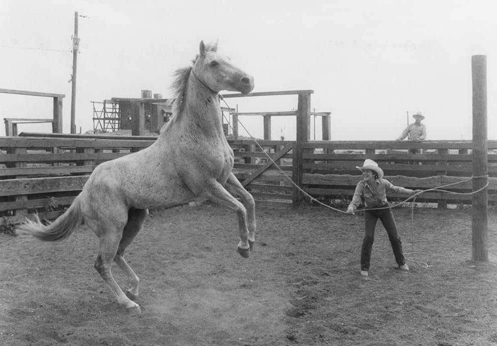 跳べ！シルベスターの画像
