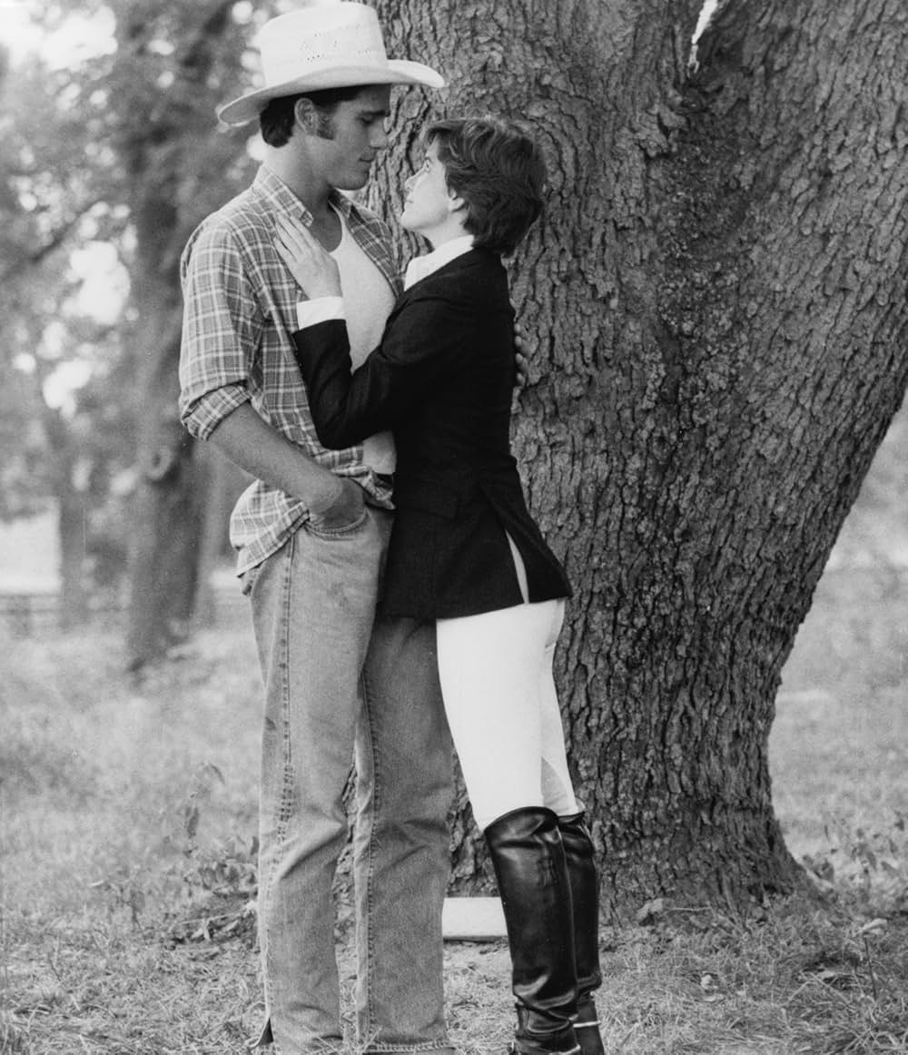 跳べ！シルベスターの画像