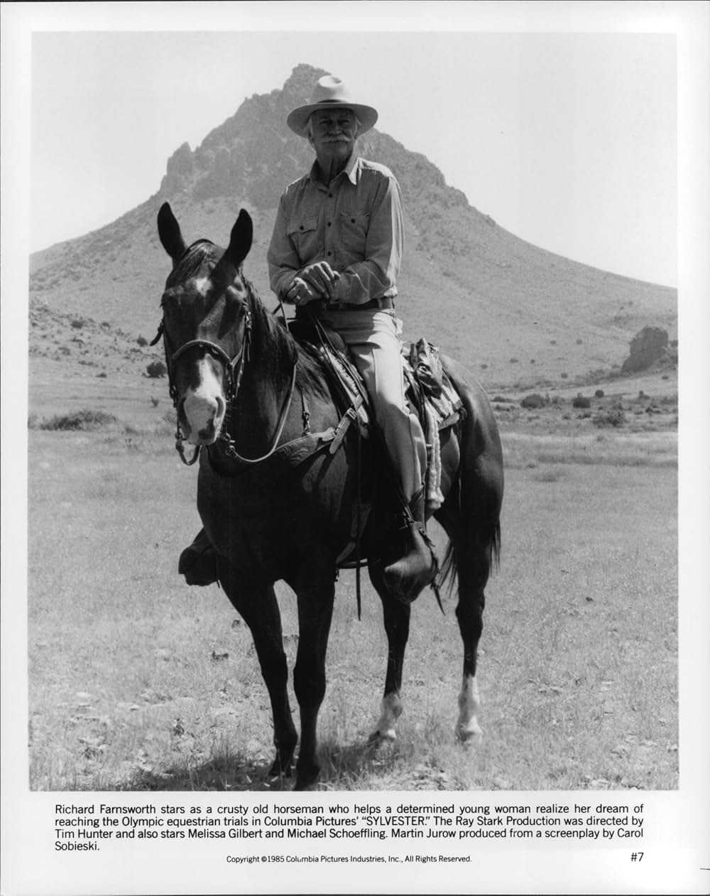 跳べ！シルベスターの画像