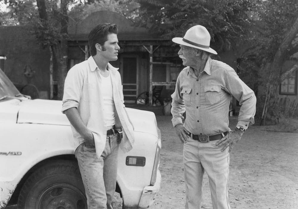 跳べ！シルベスターの画像