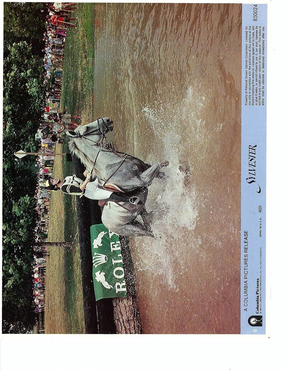 跳べ！シルベスターの画像
