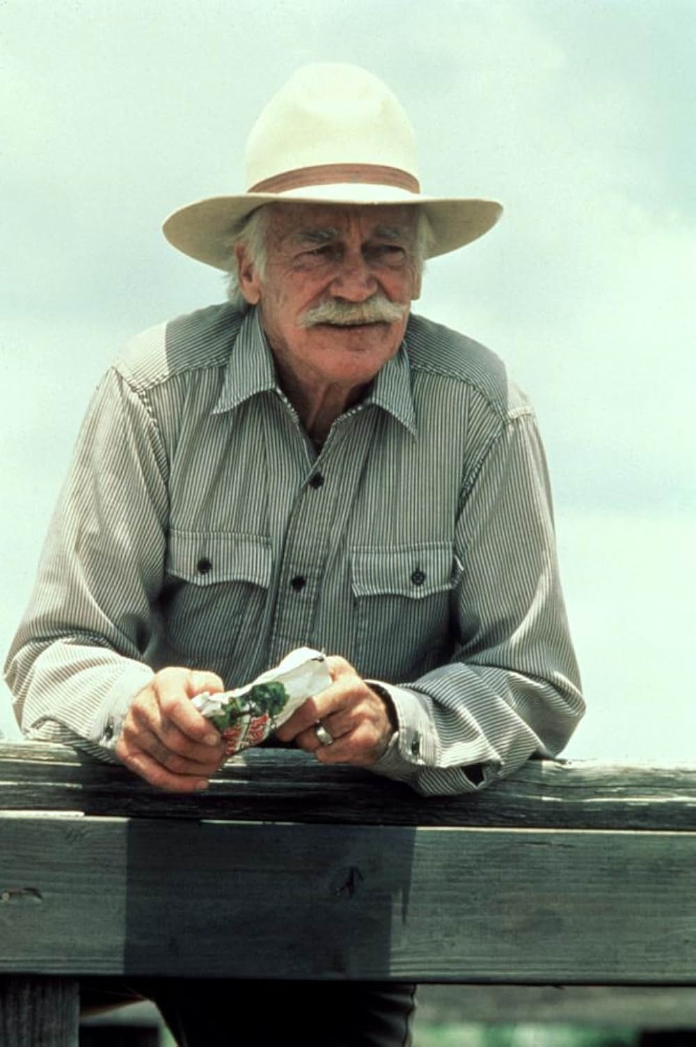 跳べ！シルベスターの画像