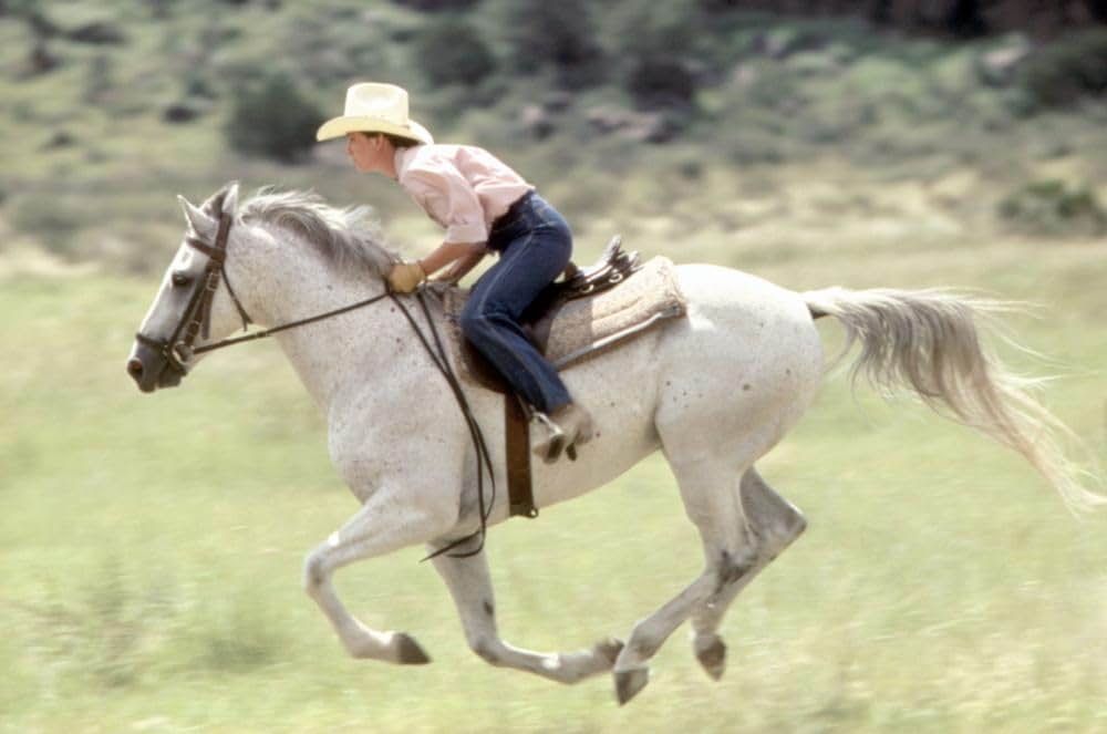 跳べ！シルベスターの画像
