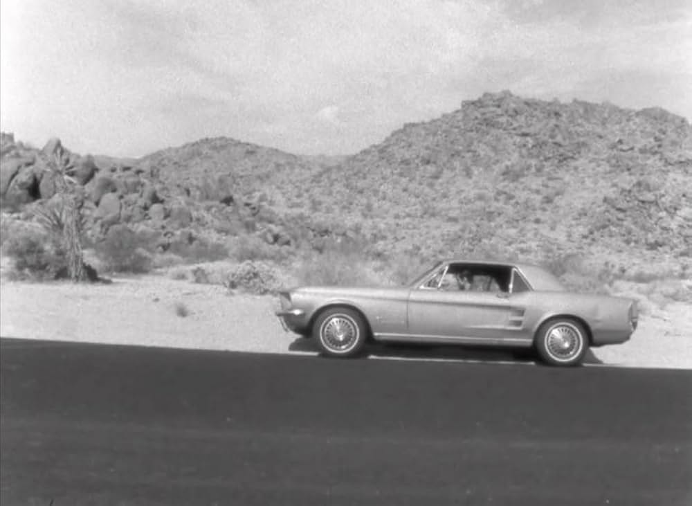 ボーダー・レディオの画像