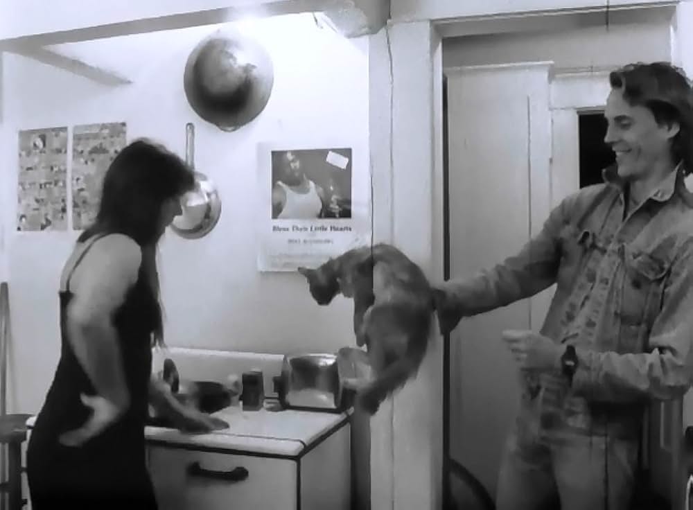 ボーダー・レディオの画像