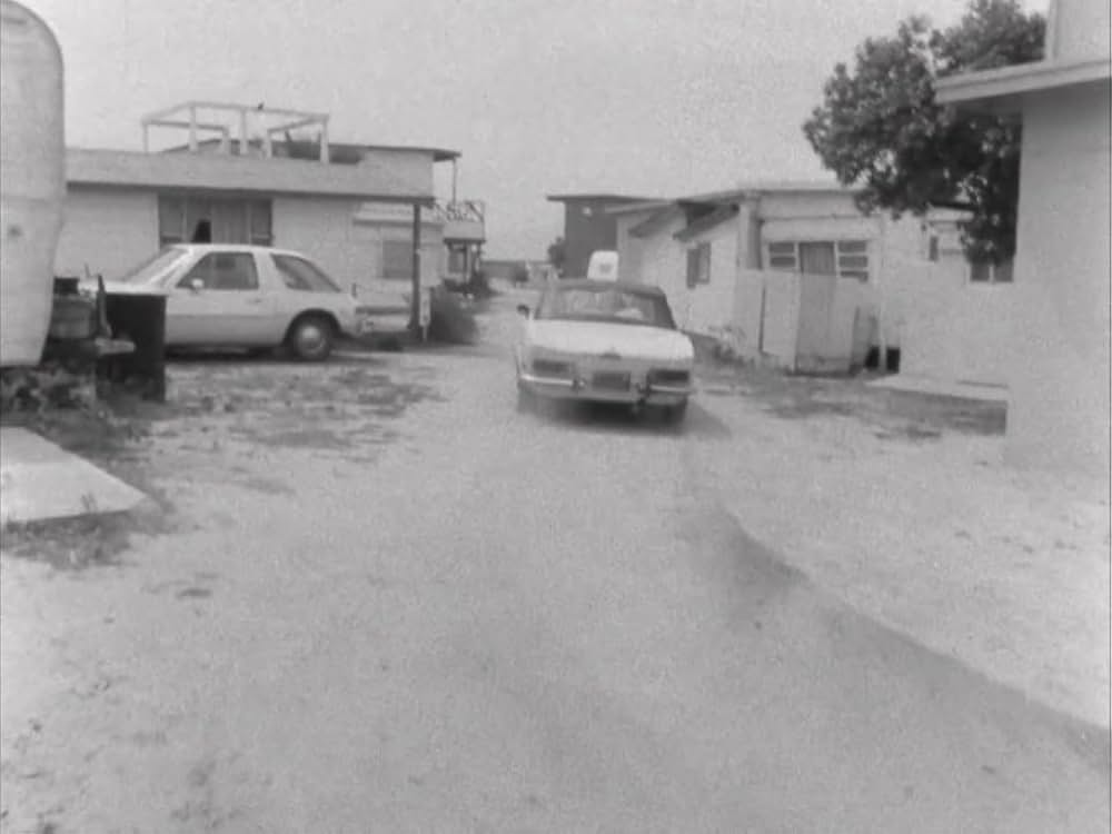 ボーダー・レディオの画像