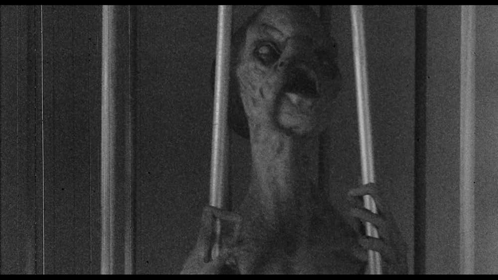 シークレット・ファイル／接･近･遭･遇の画像