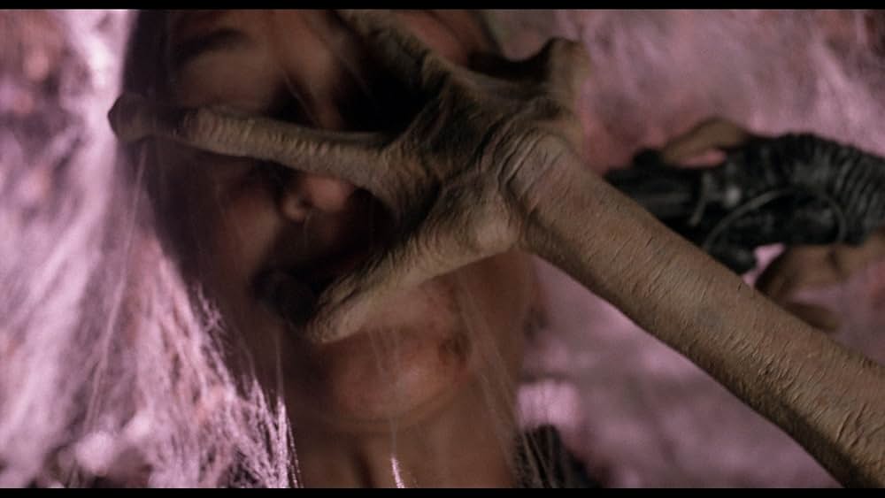 シークレット・ファイル／接･近･遭･遇の画像