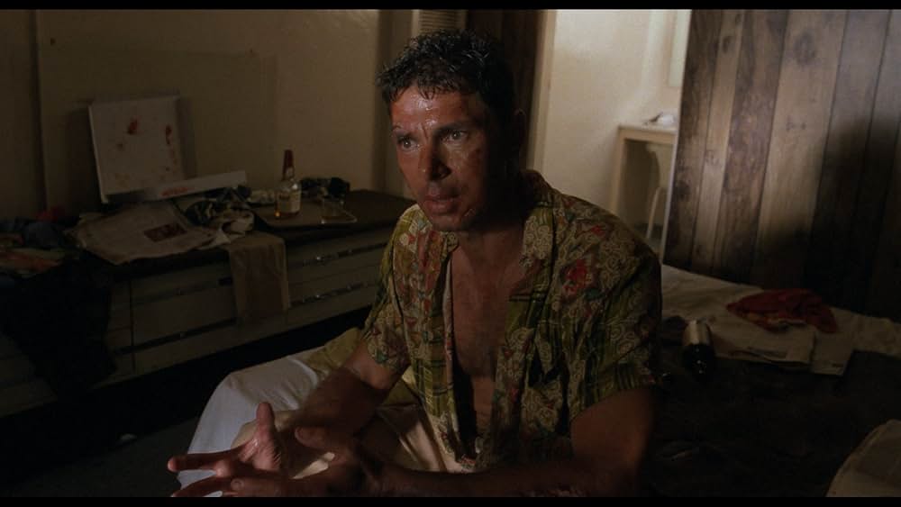 シークレット・ファイル／接･近･遭･遇の画像