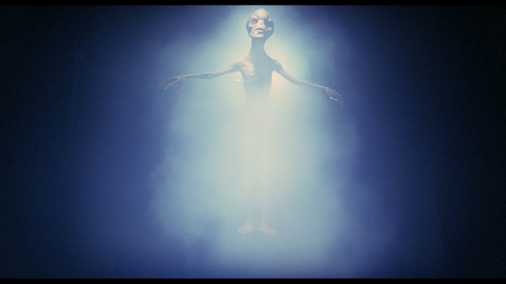 シークレット・ファイル／接･近･遭･遇の画像