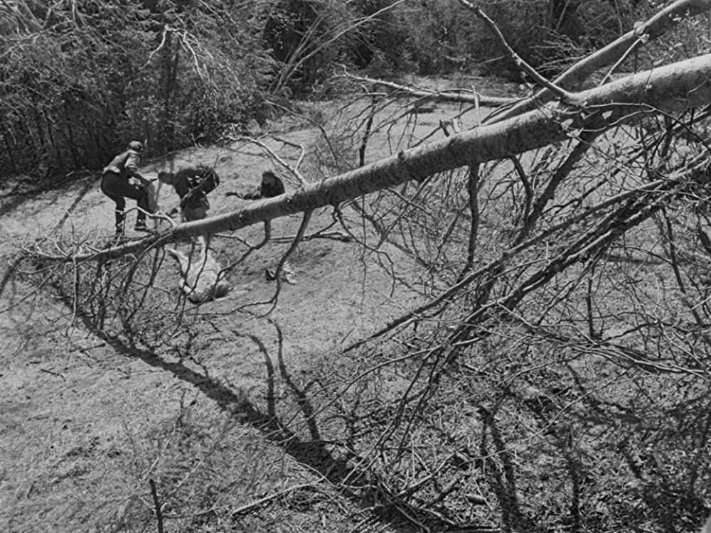 処女の泉の画像