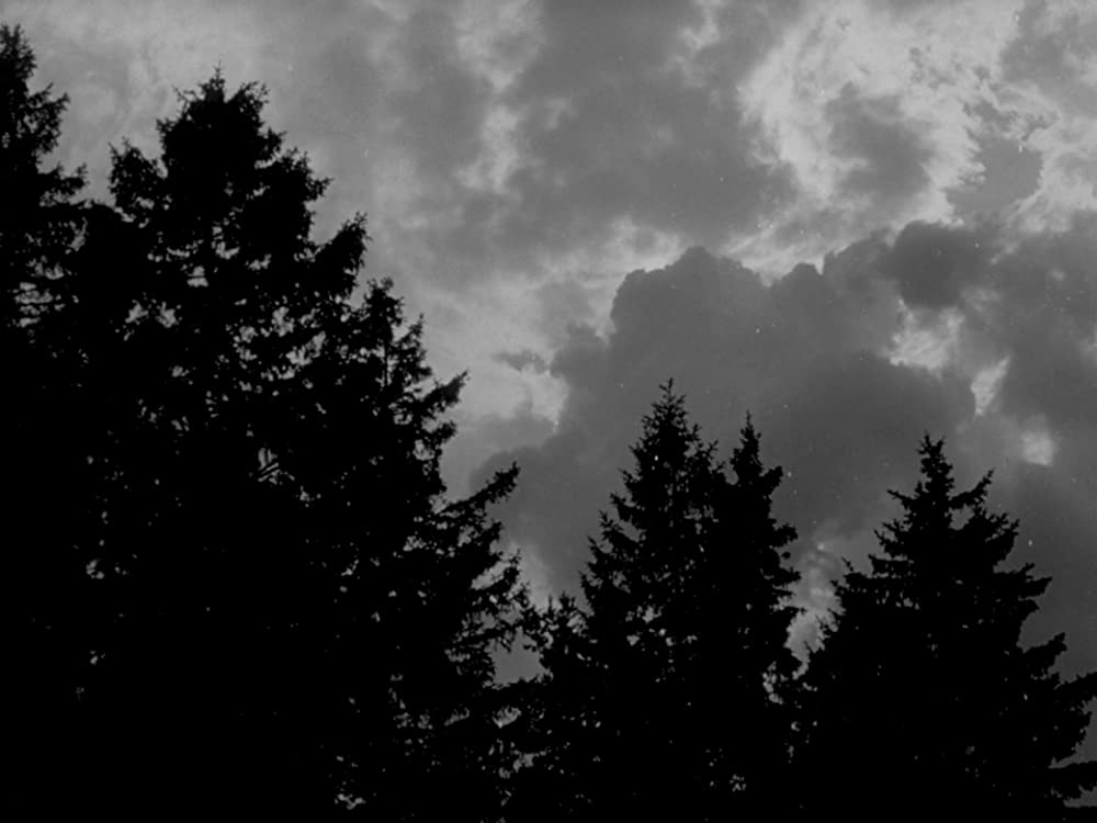 処女の泉の画像