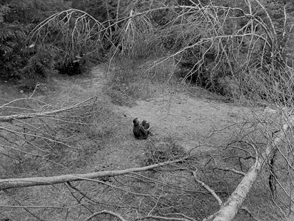 処女の泉の画像