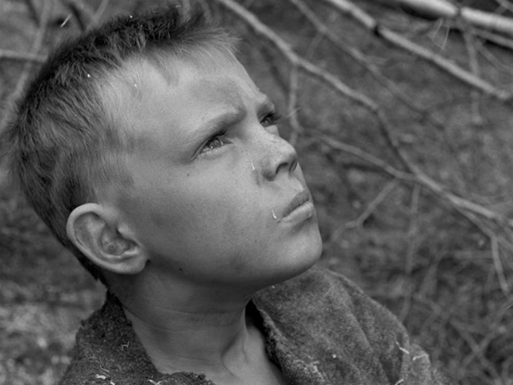 処女の泉の画像