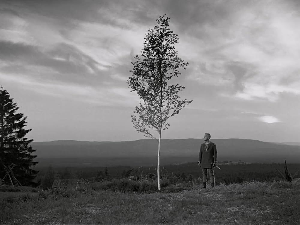 処女の泉の画像