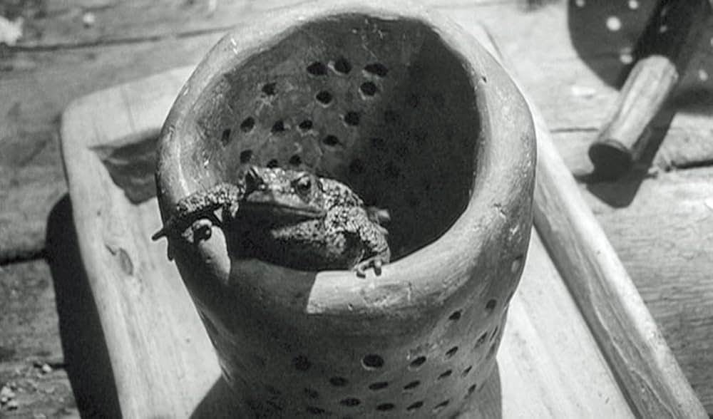 処女の泉の画像