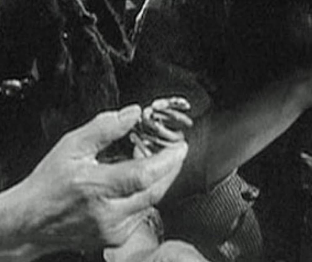 処女の泉の画像