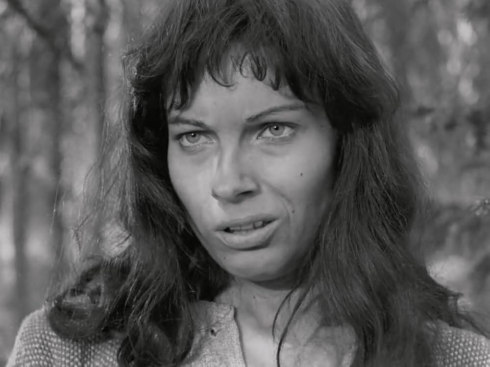 処女の泉の画像