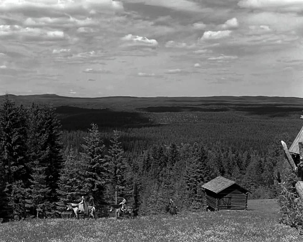 処女の泉の画像