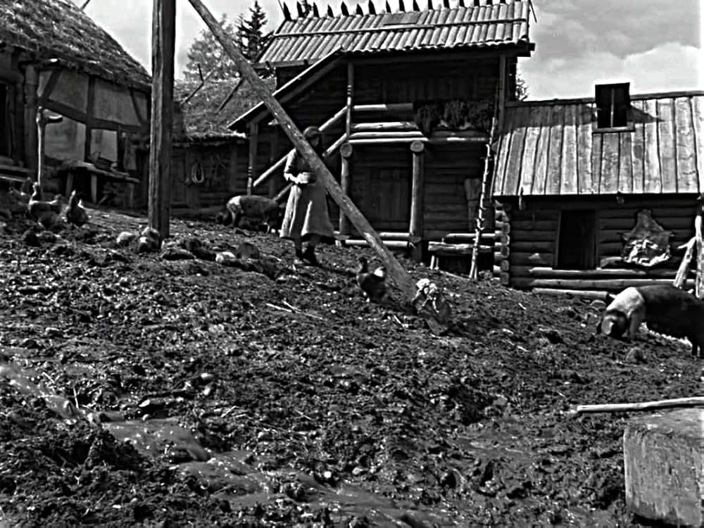 処女の泉の画像