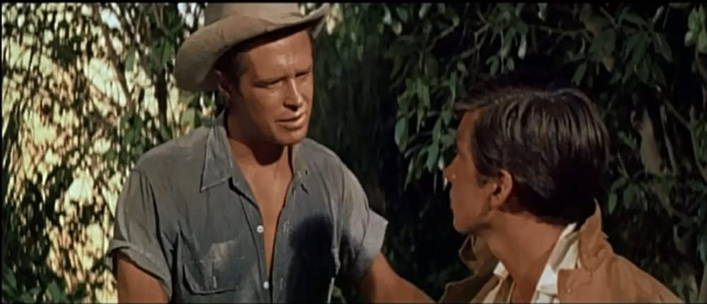 肉体の遺産の画像