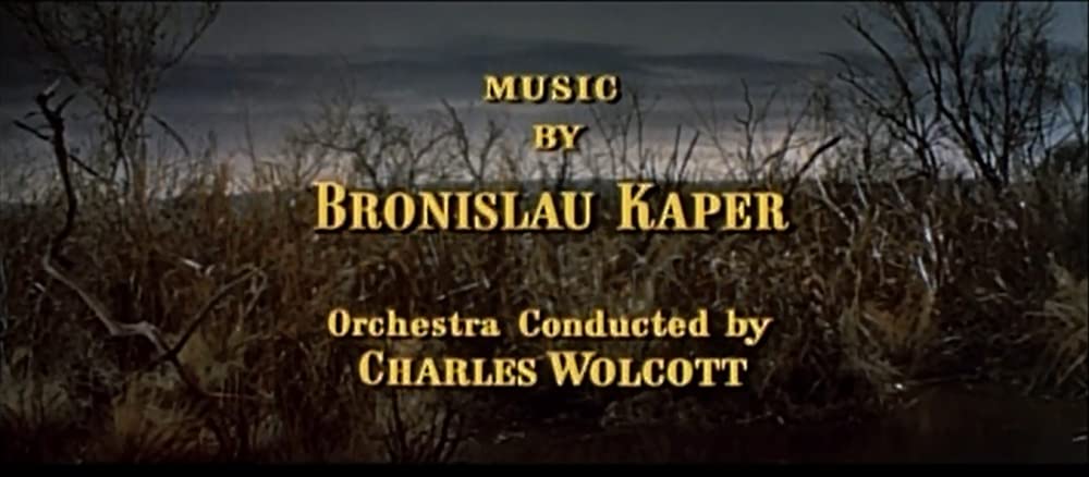 肉体の遺産の画像