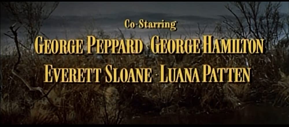 肉体の遺産の画像