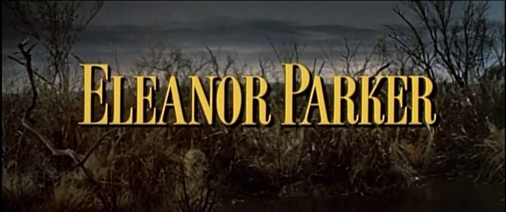 肉体の遺産の画像