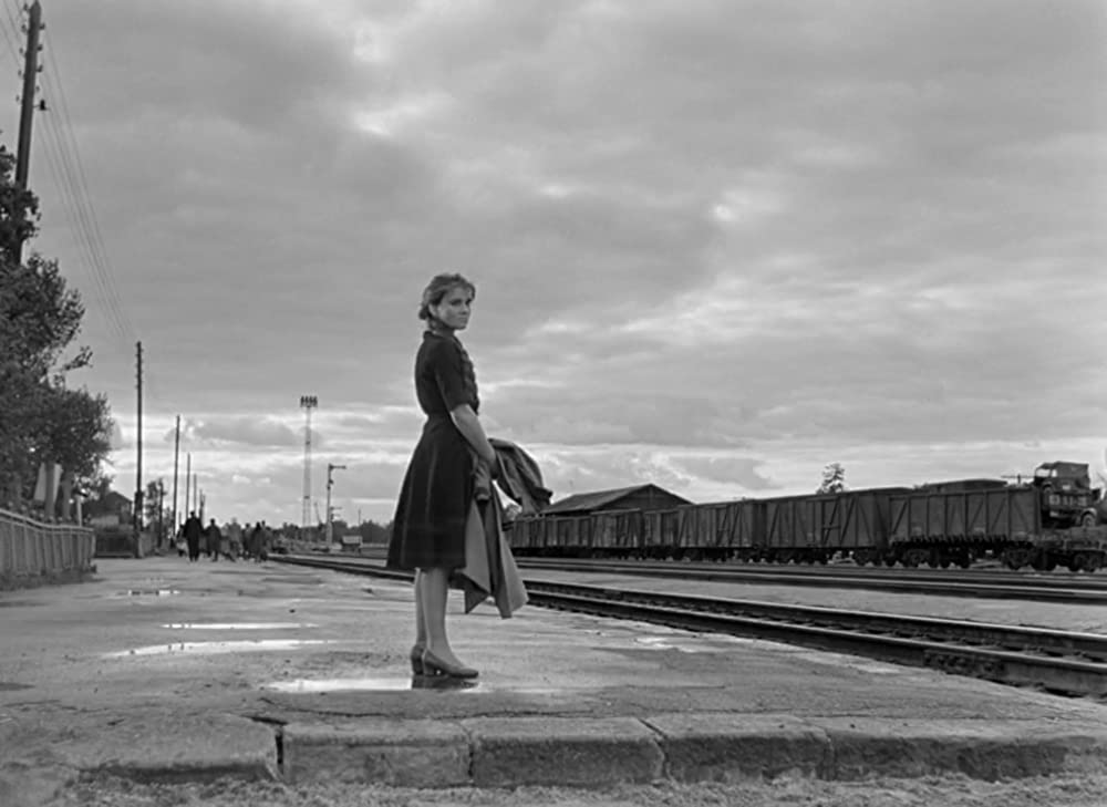 誓いの休暇の画像