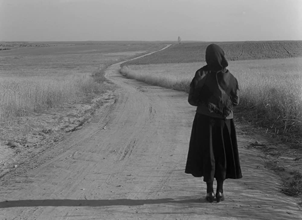 誓いの休暇の画像