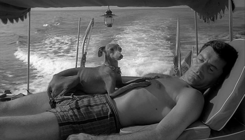 「情事」ガブリエル・フェルゼッティの画像