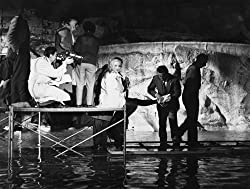 「甘い生活」アニタ・エクバーグの画像