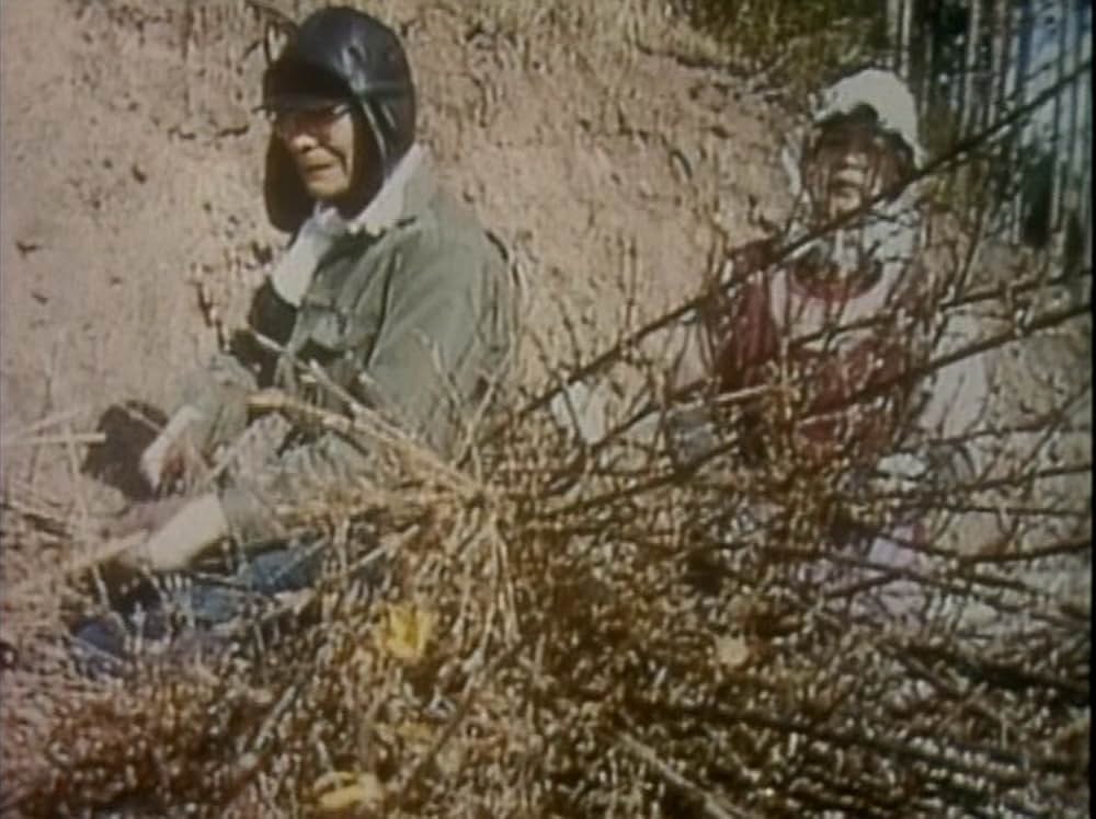 杣人物語の画像