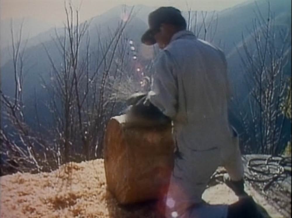 杣人物語の画像