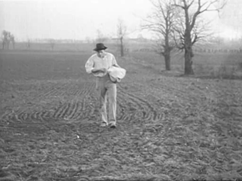 小麦の買占めの画像