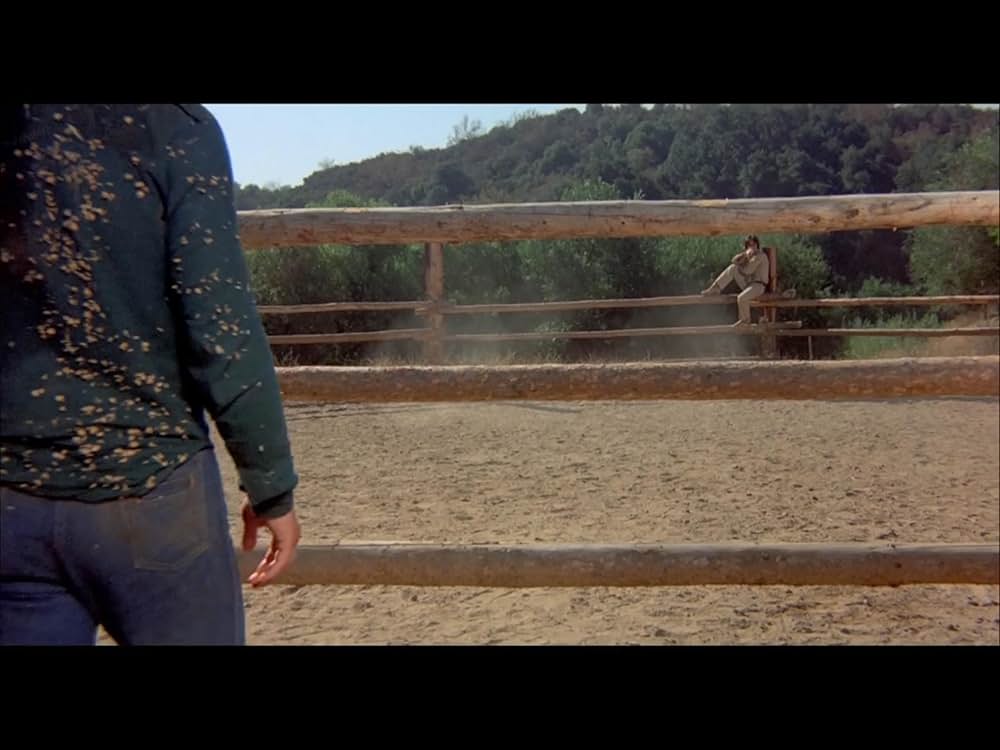 チャック・ノリスの ブレイカー！ブレイカー！の画像