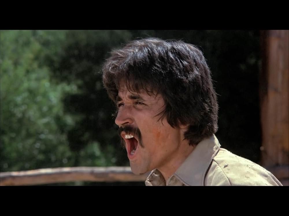 チャック・ノリスの ブレイカー！ブレイカー！の画像