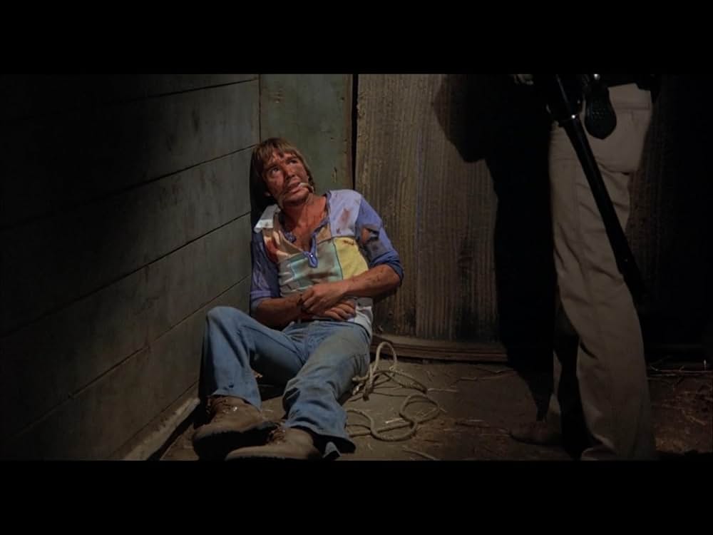 チャック・ノリスの ブレイカー！ブレイカー！の画像