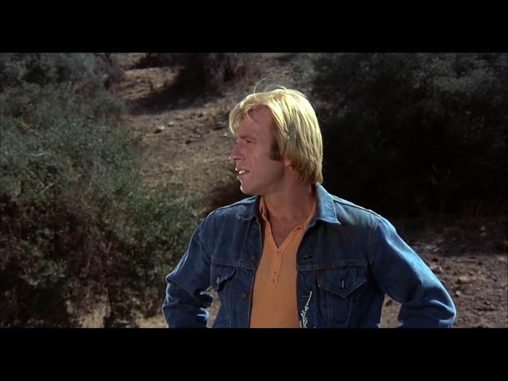 チャック・ノリスの ブレイカー！ブレイカー！の画像