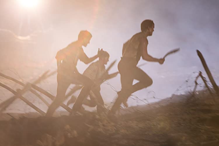 ディバイナー 戦禍に光を求めての画像