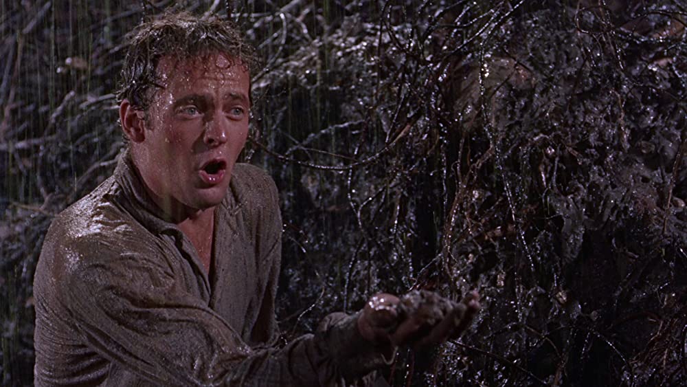 縛り首の木の画像