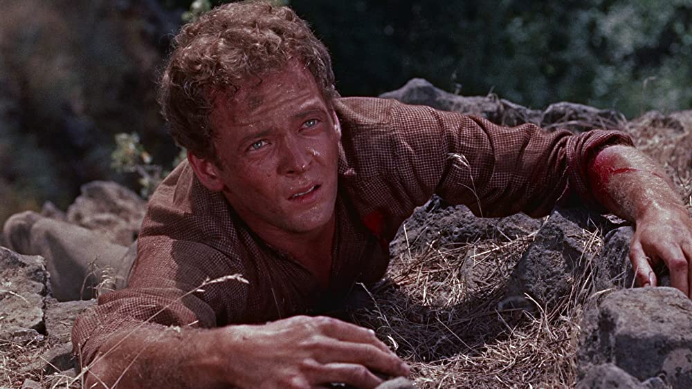 縛り首の木の画像