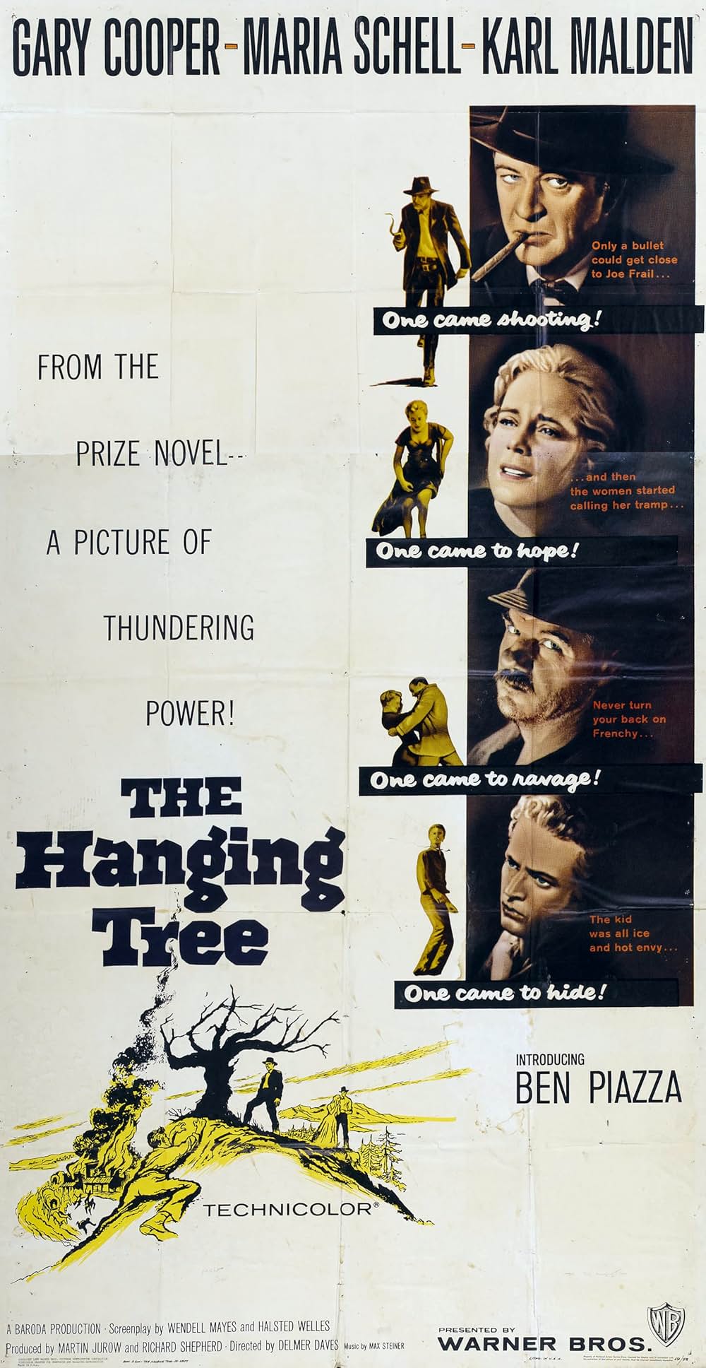 縛り首の木の画像