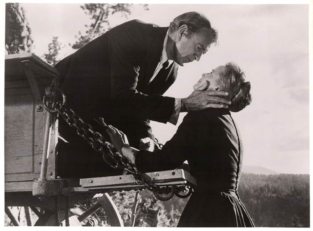 縛り首の木の画像