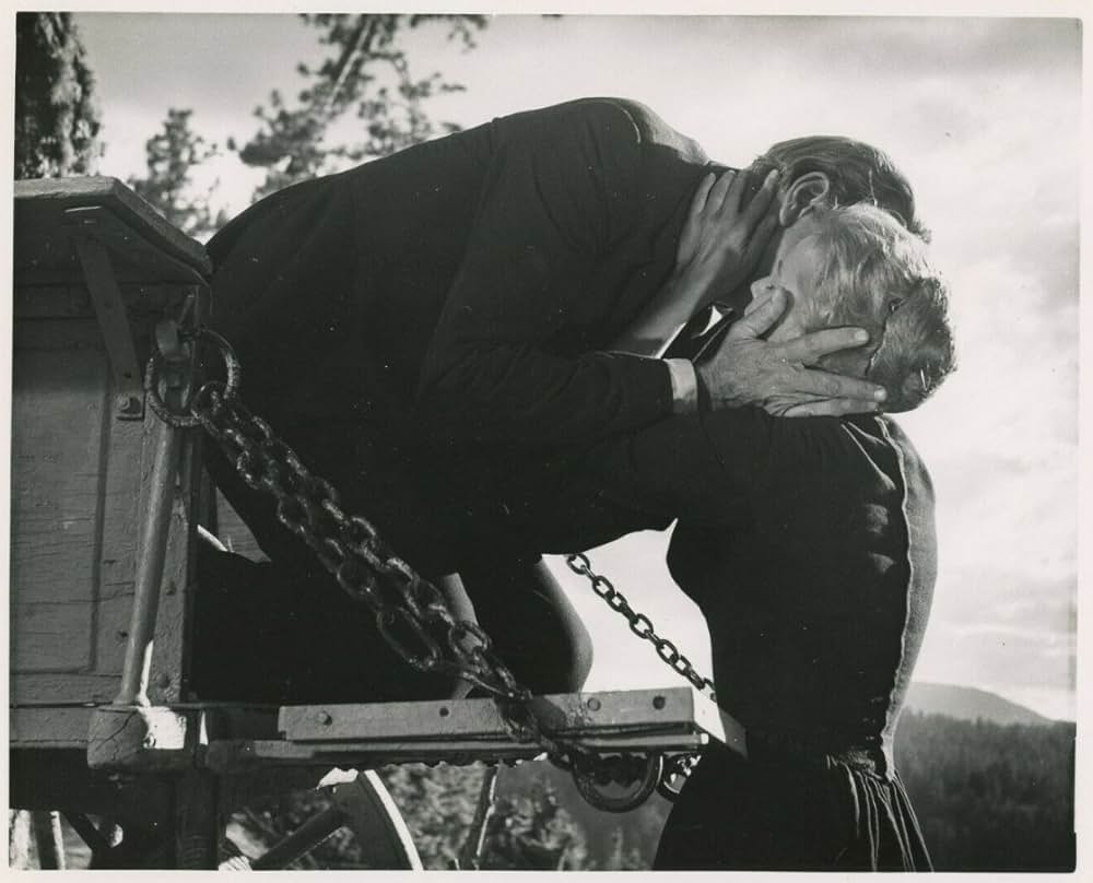 縛り首の木の画像