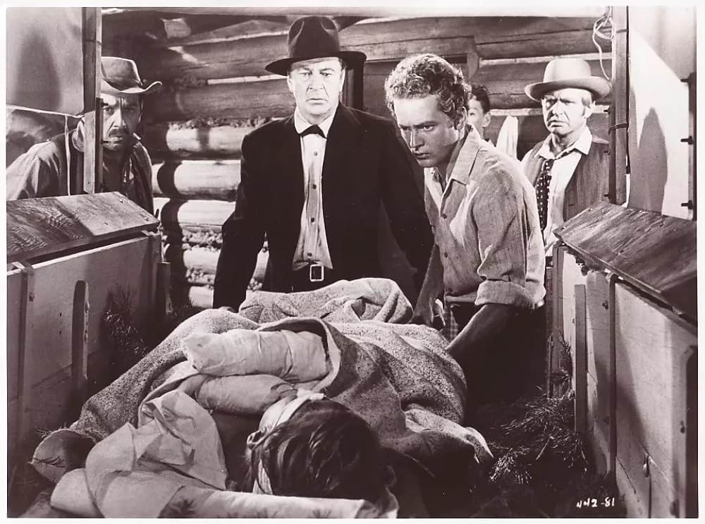 縛り首の木の画像